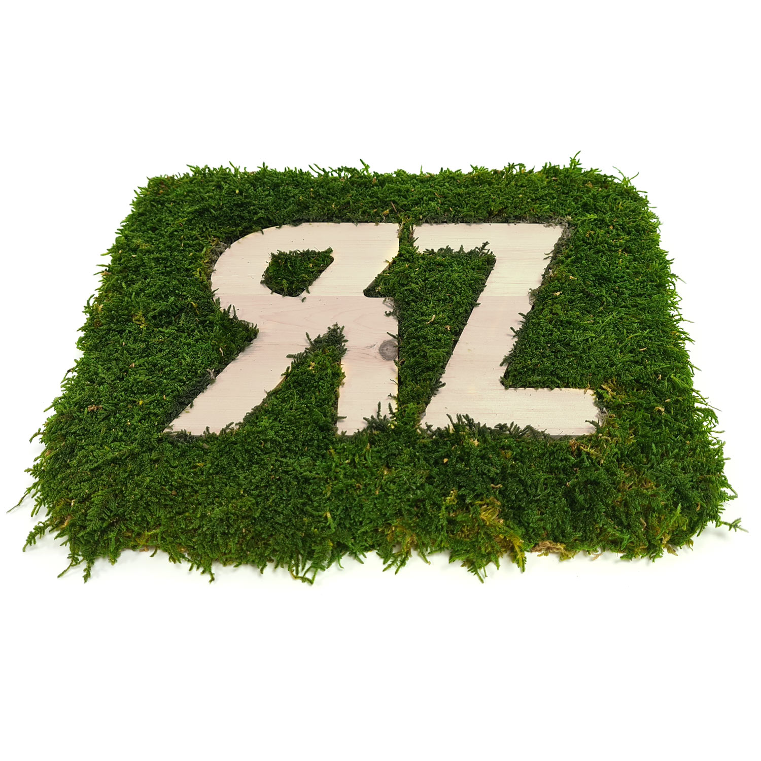 Waldmoos Logos / Schriften - Zirbe - Negativ
